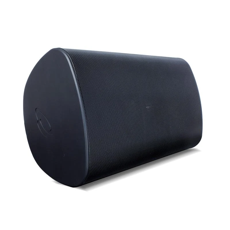 TruAudio TruAudio OP6-BK, 6.5 inch outdoor speaker, black